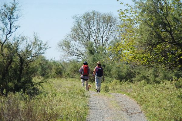 Γιορτάζουμε την Παγκόσμια Ημέρα Περιβάλλοντος στο Καλοχώρι!